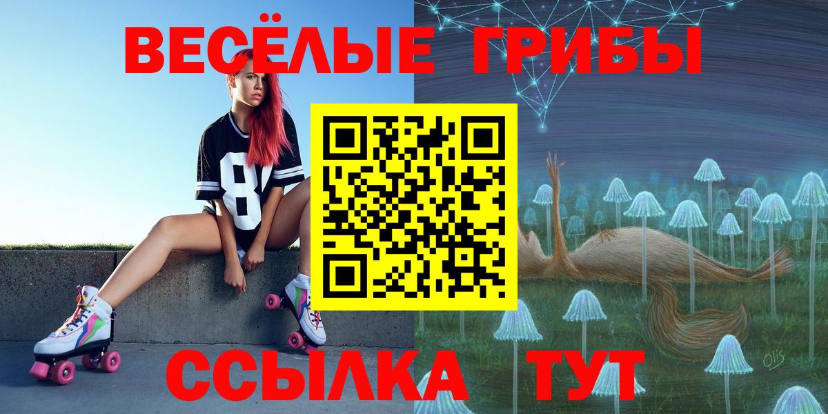 Галлюциногенные грибы Psilocybe  купить наркотики сайты  Благовещенск  Псилоцибиновые грибы Psilocybine cubensis  Вход с VPN 